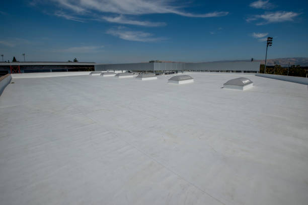 Best Steel Roofing  in Lima, PA